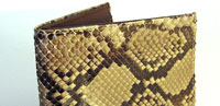 Formstack 1
